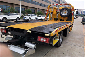 真如镇24小时汽车送油服务公司